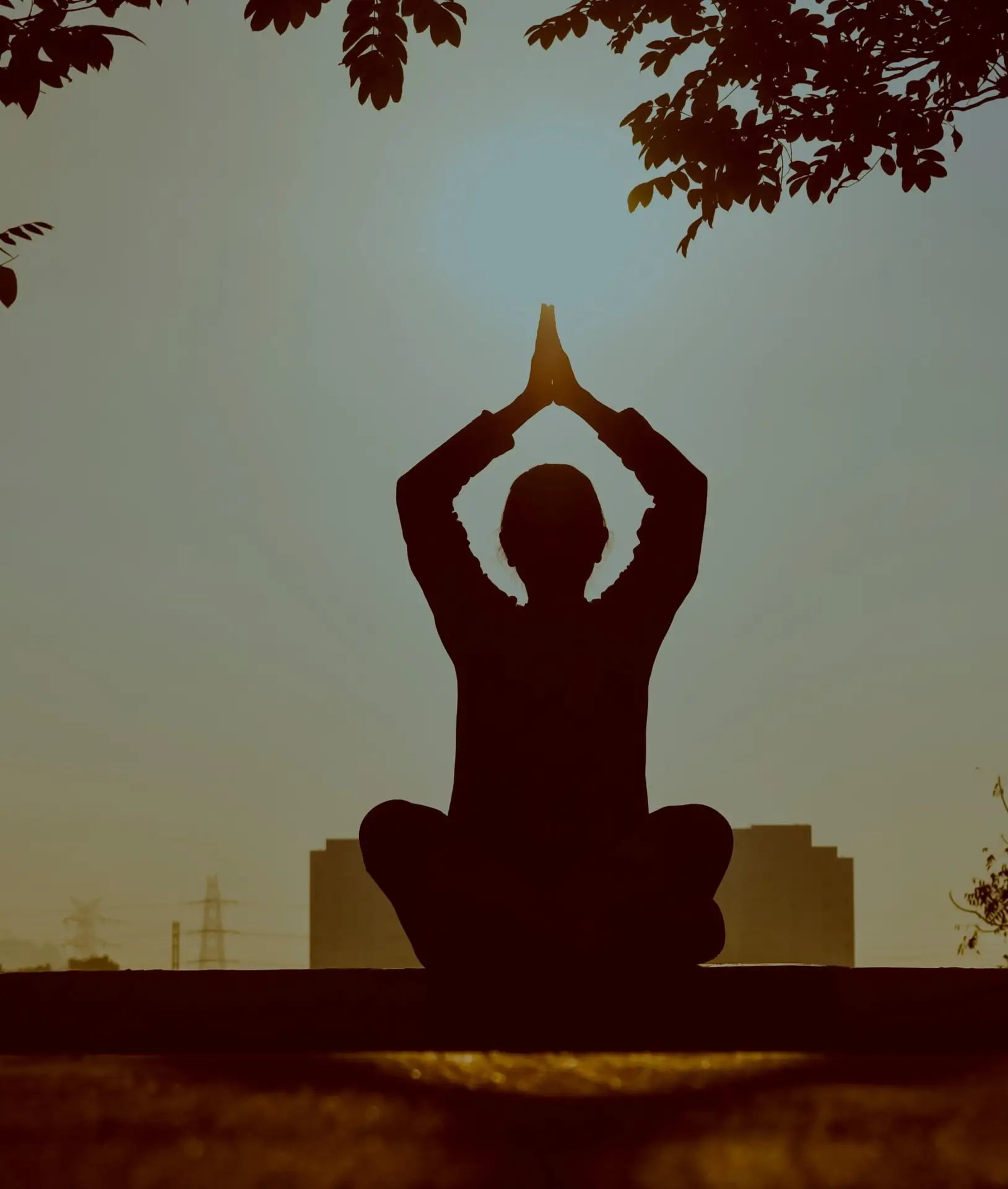 pexels prasanthinturi 1051838